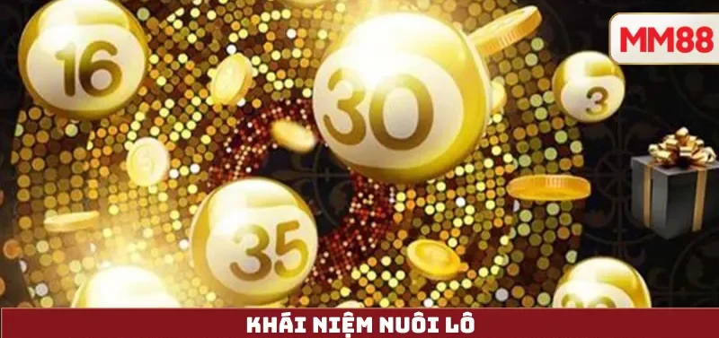 Cách Nuôi Lô – Hiểu Đúng Xác Suất, Quản Trị Vốn & Chơi Có Trách Nhiệm Cùng MM88 3 Khái niệm Nuôi Lô